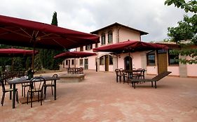 Azienda Agricola Sinisi