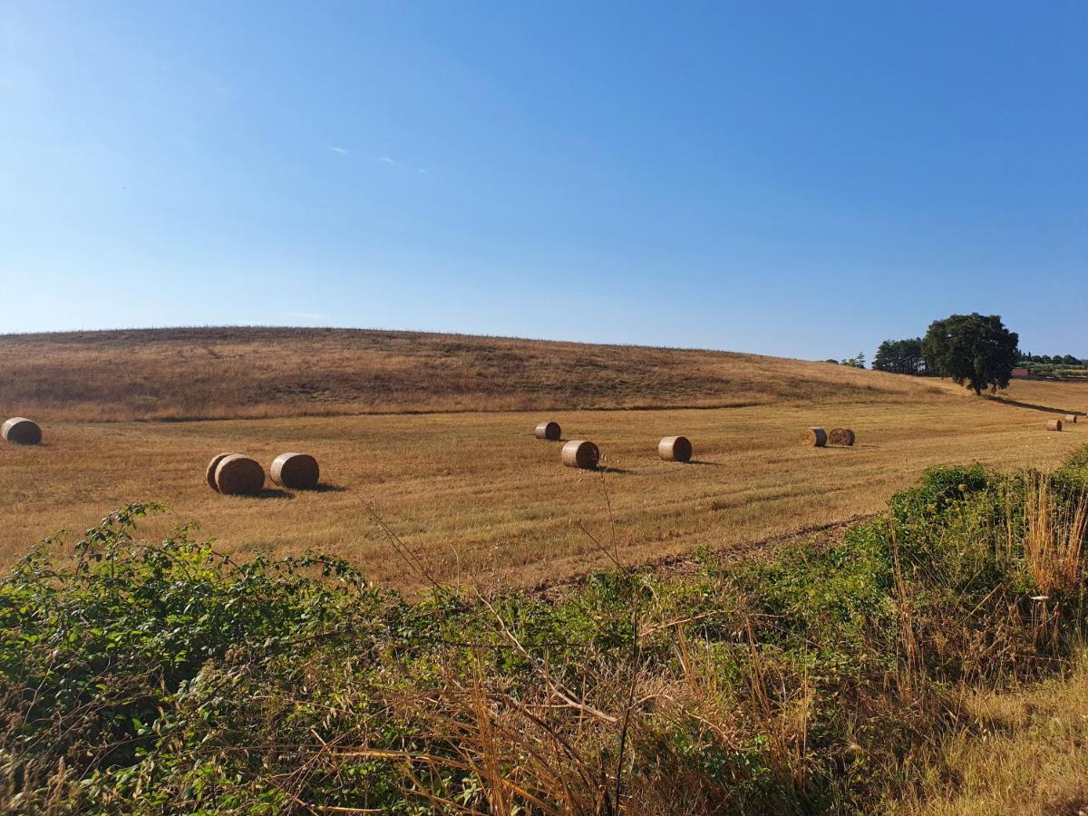 Azienda Agricola Sinisi Cerveteri Exterior photo