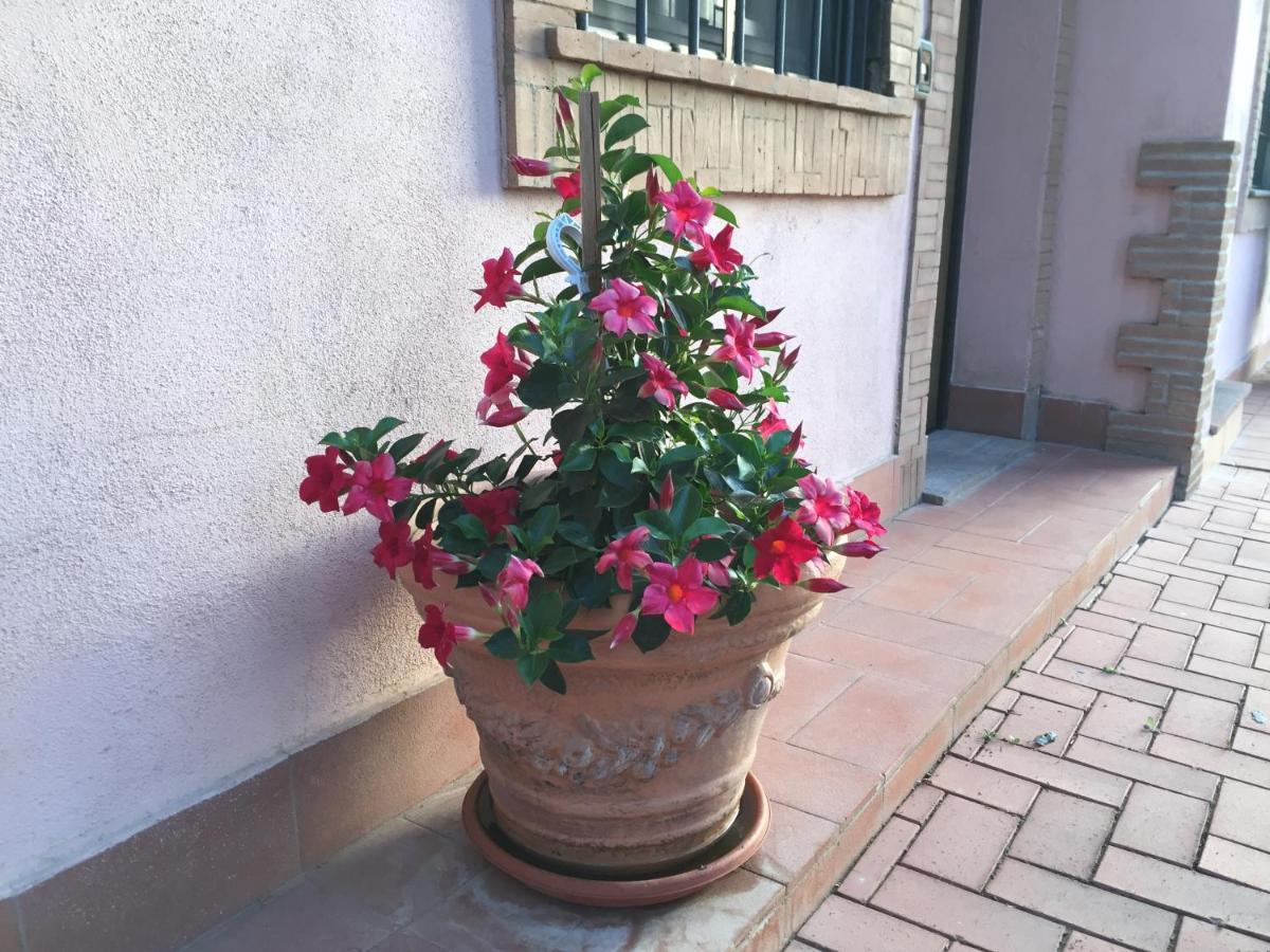 Azienda Agricola Sinisi Cerveteri Exterior photo